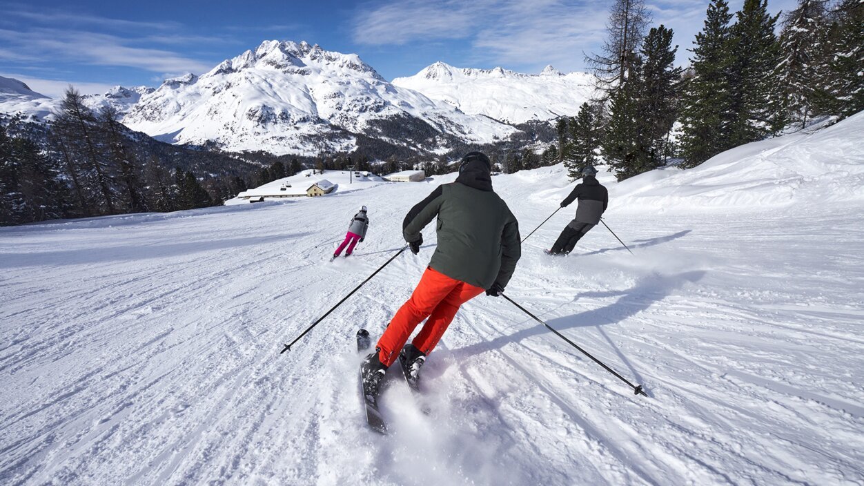 How to find the perfect pair of carving skis INTERSPORT Rent